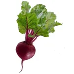 Catalyst Wellness Meal Planner icon