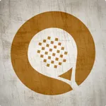 P4 Padel indoor icon