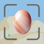 Rock Identifier: Stone Value icon