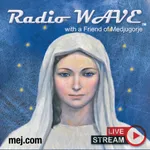 Radio Wave Live icon