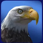 Eagle Wolf Dragon icon