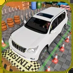 parking Car Driving Simulator icon