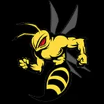 Stinger OneTouch Connect icon