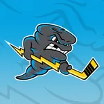Quad City Storm icon
