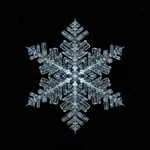 Rikka 六花 Generate snowflakes icon