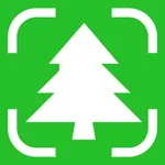 Tree Identifier: Wood & Leaf ‎ icon