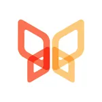 Reflection Frame icon