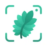 Jungle: Plant Identification icon