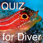 Quiz for Diver -海洋生物クイズ- icon