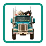 Badger Underground icon