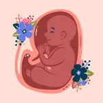 Contraction Counter - Timer icon