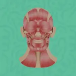 Baralho Miofuncional RA icon