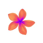 Plumeria icon