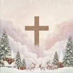 Biblical: Bible Chat & Widget icon