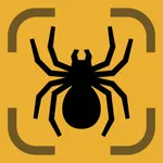 Spider Identifier: AI Scanner icon