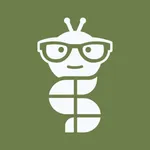 Reelly: Scroll & learn icon