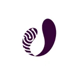 Unique Flow icon