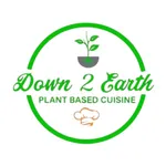 Down 2 Earth NV icon