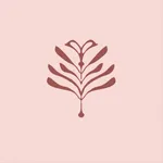 Veksler Face Fitness System icon