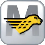 Cheetah M icon