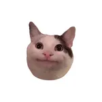 Notescast - PDF to Brainrot icon