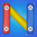 Nut Bolt Screw Puzzle Game icon