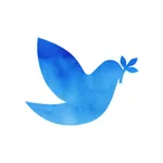 Daily Stillness icon