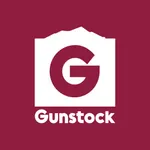 Gunstock Mountain icon