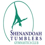 STGymnastics icon
