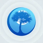 Palmetto Sports icon