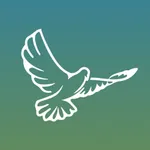 Connect Sobriety icon