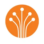GNS Fibra icon