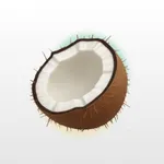 Food Scanner - ZeroAI icon