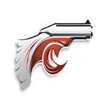 Get Guns N Ammo icon