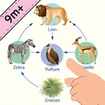 Learn Food Chain: Food Web Kid icon