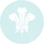 Kia Oval App icon