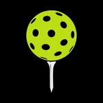 Pin Point Inc icon