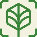 Working Trees App icon