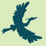 Blue Heron Pilates icon