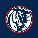 Belvidere North Athletics icon