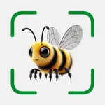 Bug Identifier ° Insect Id icon