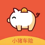 小猪保 icon