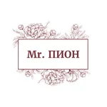 Mr.ПИОН | Ростов-на-Дону icon