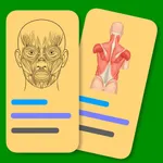 Muscle Flashcards Pro icon