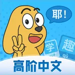适趣高阶中文 icon