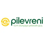 Pil Evreni icon
