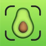 AICalo AI Calorie Tracker icon