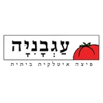 רשת פיצה עגבניה icon