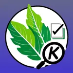 KFinder icon