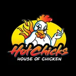 Hot Chicks To Go icon